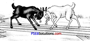 PSEB 10th Class English Reading Comprehension Unseen Picture Poster Based 8