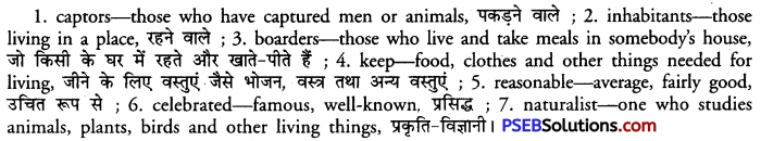 PSEB 11th Class English Composition Note-Making 1
