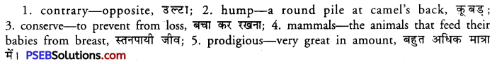 PSEB 11th Class English Composition Note-Making 22