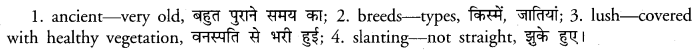 PSEB 11th Class English Composition Note-Making 9