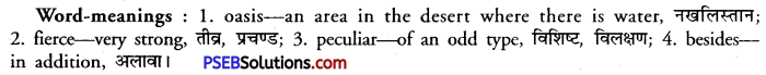 PSEB 11th Class English Reading Comprehension Unseen Passages 11