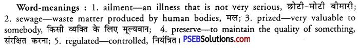 PSEB 11th Class English Reading Comprehension Unseen Passages 19