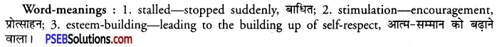 PSEB 11th Class English Reading Comprehension Unseen Passages 23