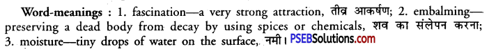 PSEB 11th Class English Reading Comprehension Unseen Passages 24