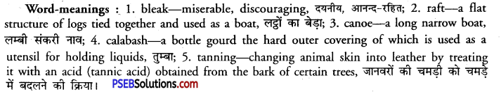 PSEB 11th Class English Reading Comprehension Unseen Passages 25