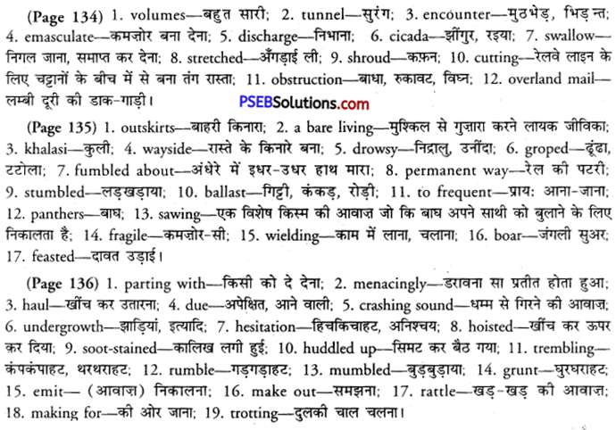 PSEB 11th Class English Solutions Supplementary Chapter 2 The Tiger in the Tunnel 4
