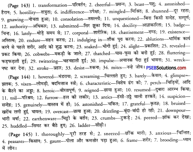 PSEB 11th Class English Solutions Supplementary Chapter 3 Sparrows 3