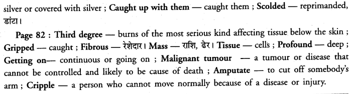 PSEB 12th Class English Solutions Chapter 9 In Celebration of Being Alive 2