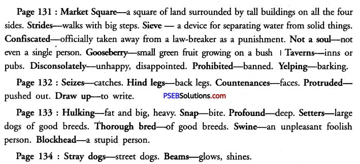 PSEB 12th Class English Solutions Supplementary Chapter 2 A Chameleon 1