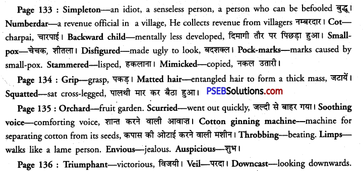 PSEB 12th Class English Solutions Supplementary Chapter 3 Bholi 1