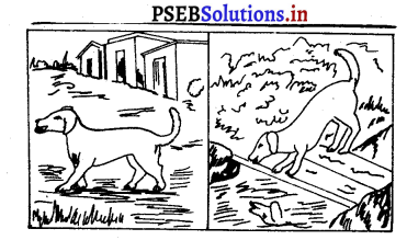 PSEB 4th Class English Composition 2