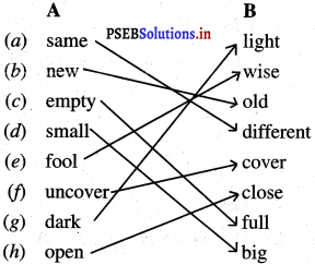 PSEB 4th Class English Solutions Chapter 1 The King and His Sons 1