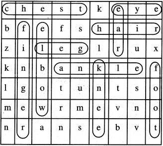 PSEB 4th Class English Solutions Chapter 1 The King and His Sons 5