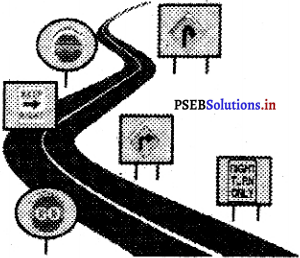 PSEB 4th Class English Solutions Chapter 3 Safety Rules 13