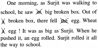 PSEB 4th Class English Solutions Chapter 3 Safety Rules 16