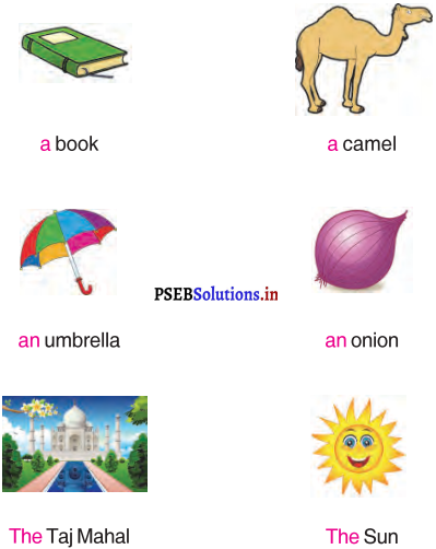 PSEB 4th Class English Solutions Chapter 3 Safety Rules 6