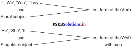 PSEB 4th Class English Solutions Chapter 4 Teamwork 1