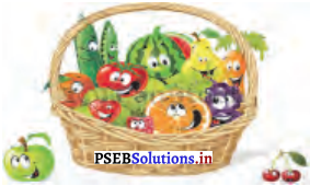 PSEB 4th Class English Solutions Chapter 5 Walnut and Watermelon 2