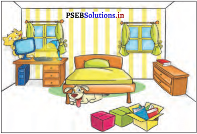 PSEB 4th Class English Solutions Chapter 5 Walnut and Watermelon 4