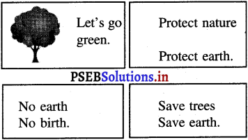 PSEB 4th Class English Solutions Chapter 5 Walnut and Watermelon 8