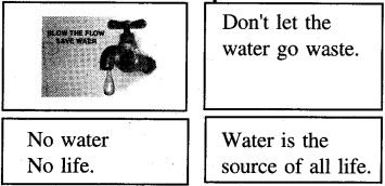 PSEB 4th Class English Solutions Chapter 5 Walnut and Watermelon 9