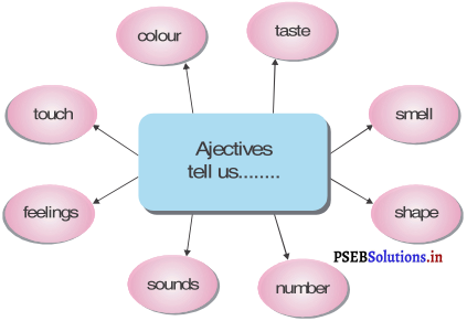 PSEB 4th Class English Solutions Chapter 6 Health in Our Hands 2