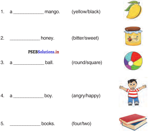 PSEB 4th Class English Solutions Chapter 6 Health in Our Hands 3