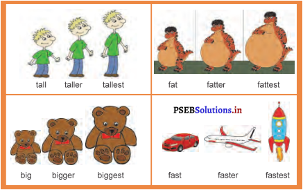 PSEB 4th Class English Solutions Chapter 6 Health in Our Hands 4