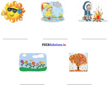 PSEB 4th Class English Solutions Chapter 7 Green Diwali, Safe Diwali 2