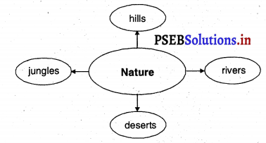 PSEB 4th Class English Solutions Chapter 9 Adventures with Books 5
