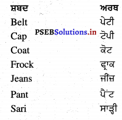 PSEB 4th Class English Solutions General Vocabulary 3