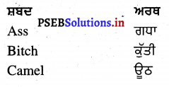 PSEB 4th Class English Solutions General Vocabulary 7