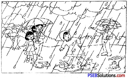 PSEB 5th Class English Grammar Guided Composition 2