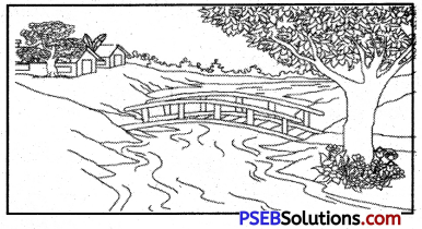 PSEB 5th Class English Grammar Guided Composition 4