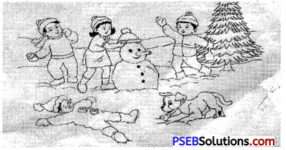 PSEB 5th Class English Grammar Guided Composition 6