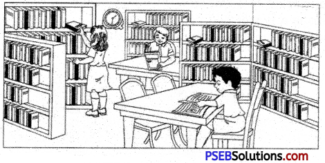 PSEB 5th Class English Grammar Guided Composition 8