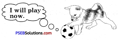 PSEB 5th Class English Grammar Important Questions 2