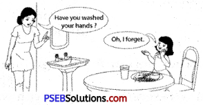 PSEB 5th Class English Grammar Important Questions 3