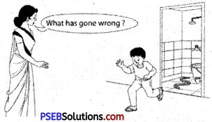 PSEB 5th Class English Grammar Important Questions 6