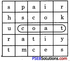 PSEB 5th Class English Grammar Important Questions 7