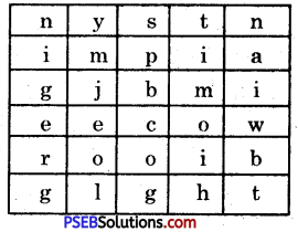 PSEB 5th Class English Grammar Important Questions 9