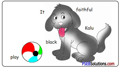 PSEB 5th Class English Solutions Chapter 1 The Elves and the Shoemaker 10