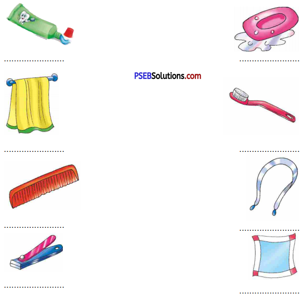 PSEB 5th Class English Solutions Chapter 2 Two Frogs 1