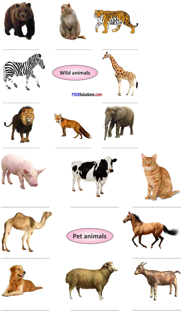 PSEB 5th Class English Solutions Chapter 2 Two Frogs 3