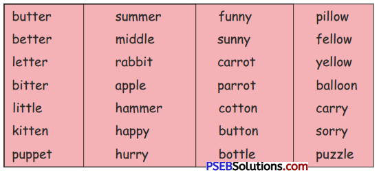 PSEB 5th Class English Solutions Chapter 4 The Flying Sikh-Milkha Singh 5
