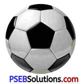 PSEB 5th Class English Solutions Chapter 4 The Flying Sikh-Milkha Singh 7