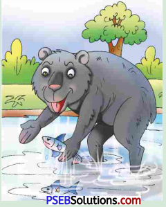 PSEB 5th Class English Solutions Chapter 5 Raja Birbal 4