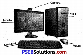 PSEB 5th Class English Solutions Chapter 6 Bank-Our Need 2