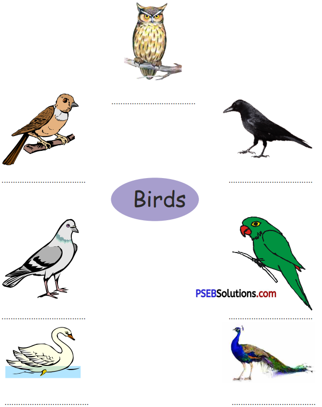 PSEB 5th Class English Solutions Chapter 7 Global Warming 2