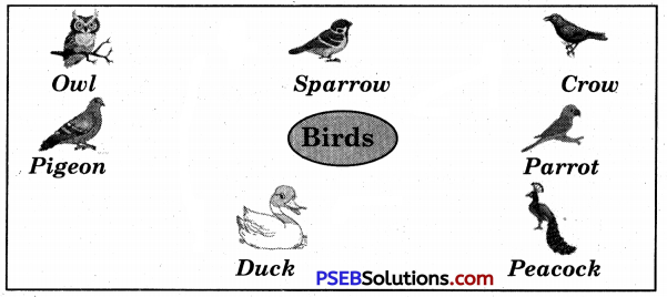 PSEB 5th Class English Solutions Chapter 7 Global Warming 3